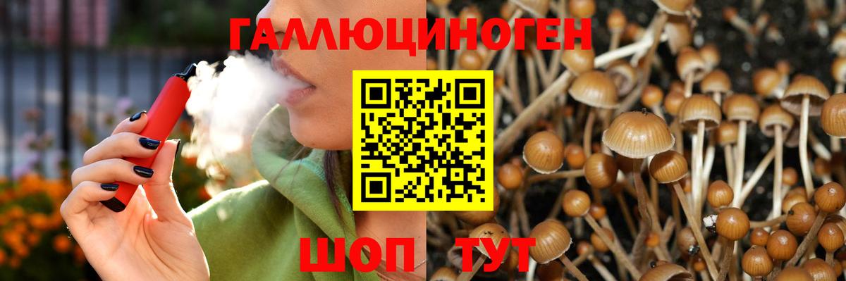 Псилоцибиновые грибы GOLDEN TEACHER  Вход с VPN  цена   Орск 